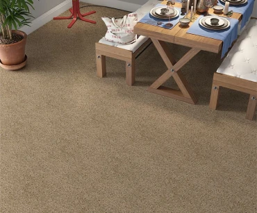 What is Tufted Carpet? 